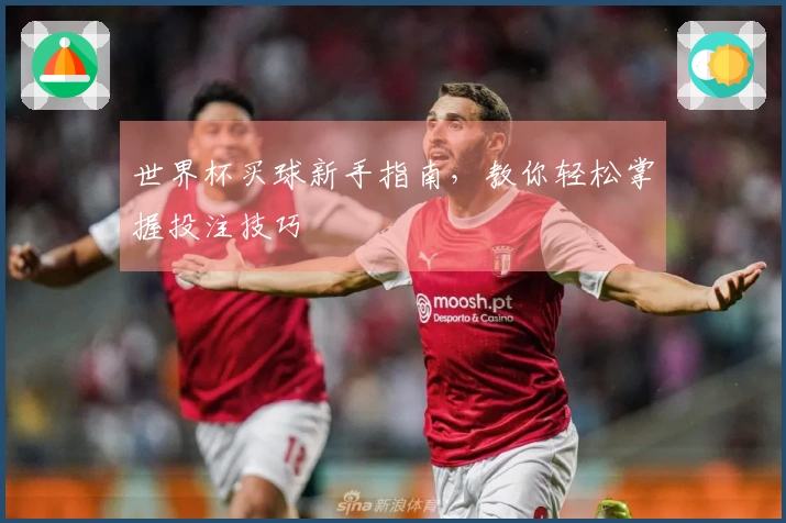 世界杯买球新手指南，教你轻松掌握投注技巧