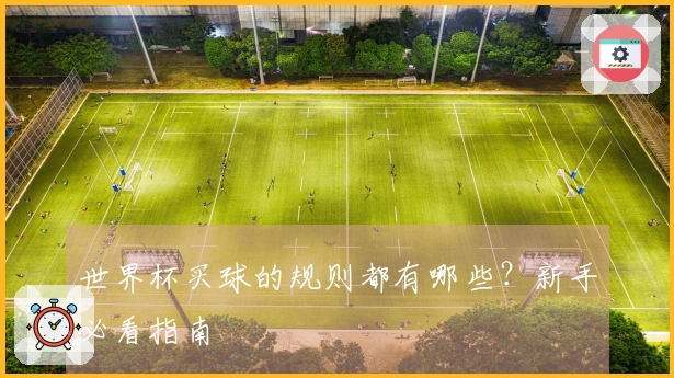 世界杯买球的规则都有哪些？新手必看指南